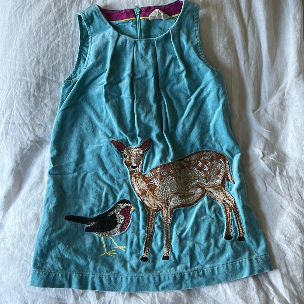 Mini Biden Embroidered Dress